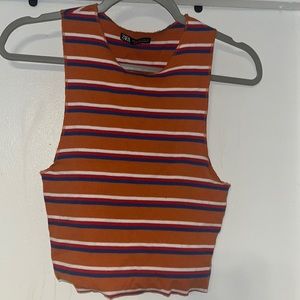 Zara Striped Crop Top